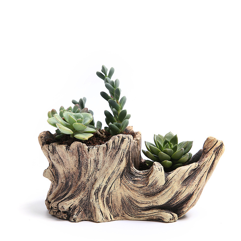 Bonsai Tree Zen Garden - Succulent Flower Pot Wood Tree Root