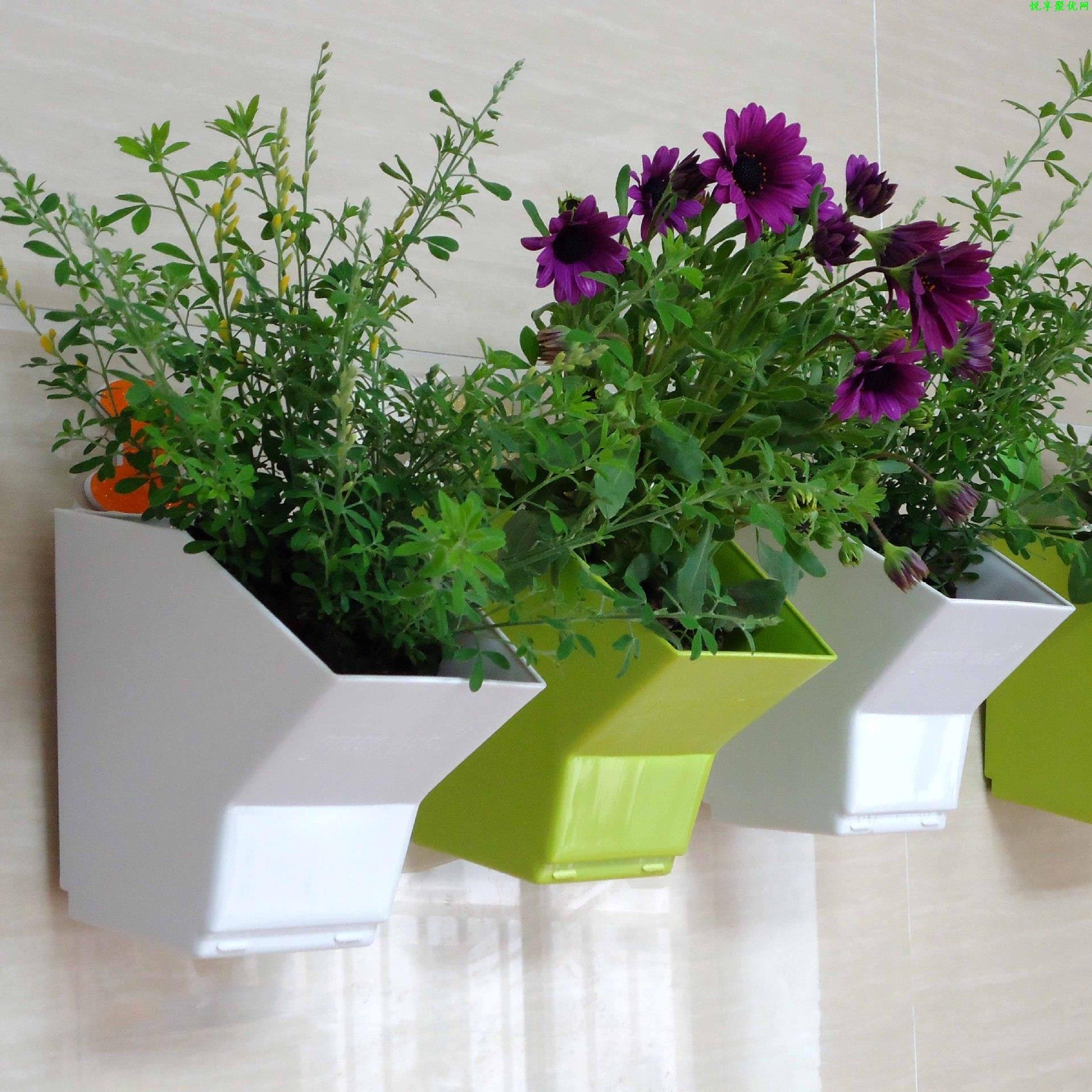 2 pcs Wall Hanging Planter Flo - Bonsai Garden Wall avaliação e preço