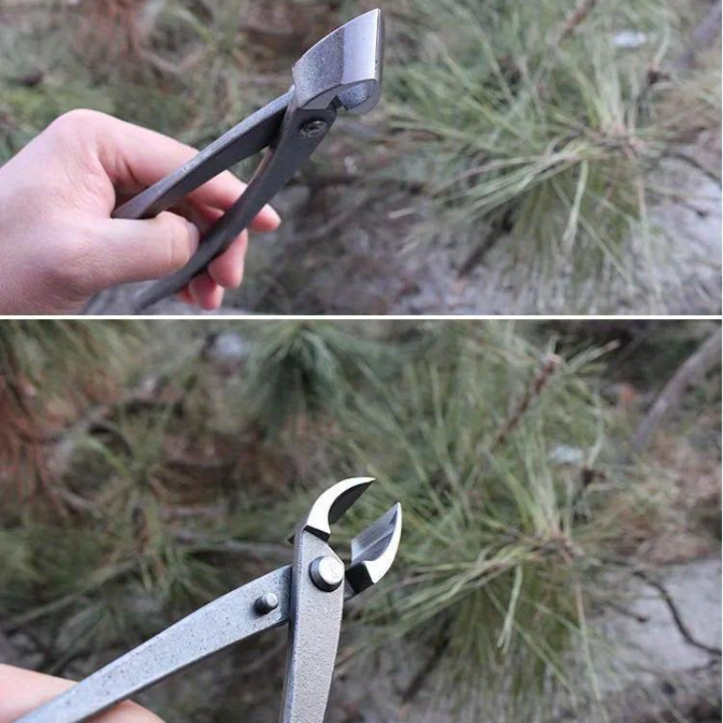Bonsai Knob Cutter Concave Edg - Concave Branch Cutter avaliação e preço