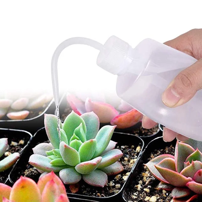 13Pcs Garden Planter Kit DIY S - Bonsai Garden Tools avaliação e preço