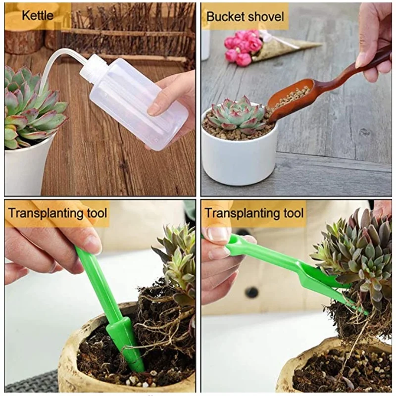 13Pcs Garden Planter Kit DIY S - Bonsai Garden Tools avaliação e preço
