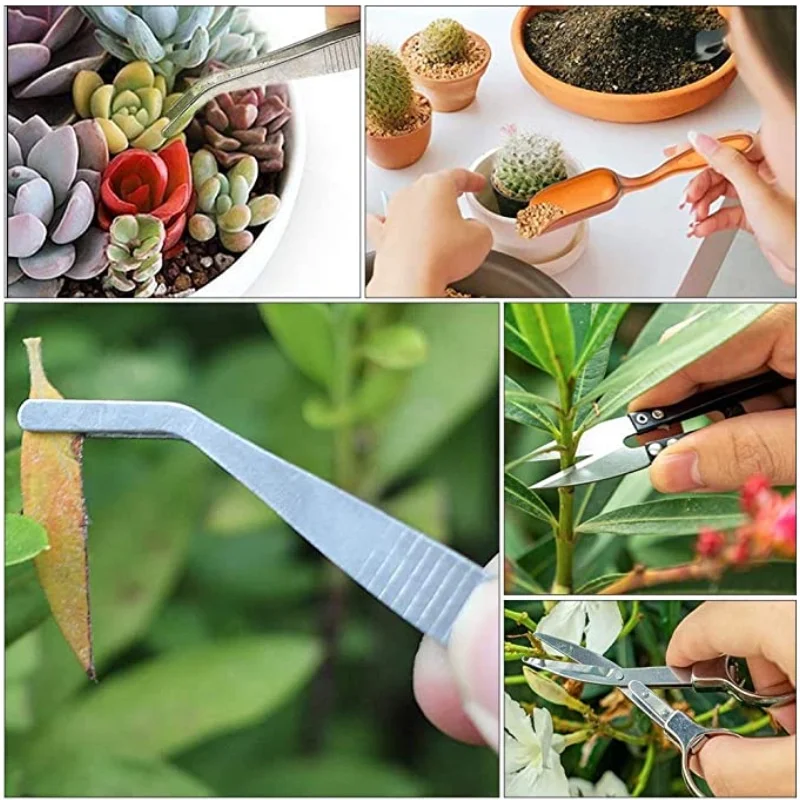 13Pcs Garden Planter Kit DIY S - Bonsai Garden Tools avaliação e preço