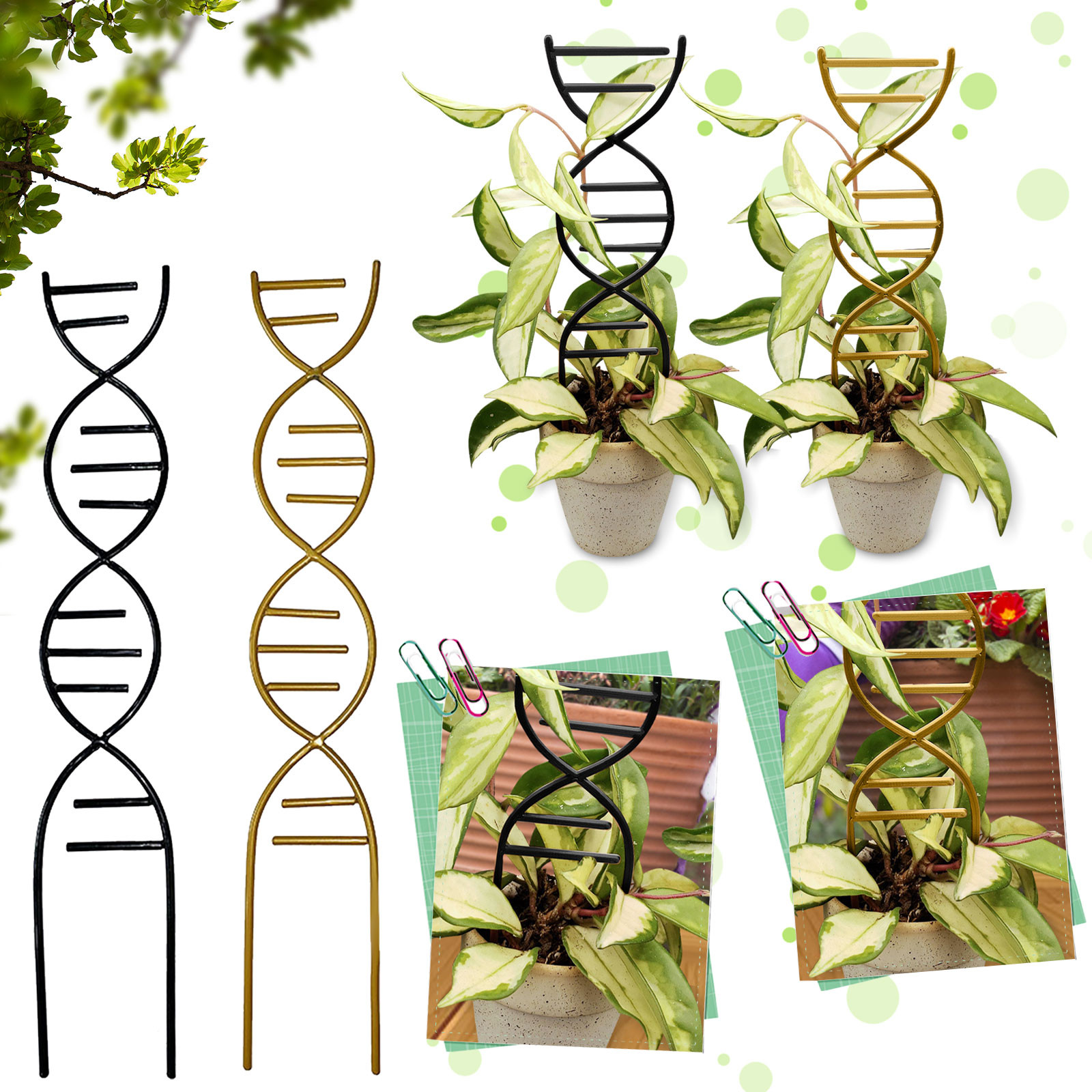 Plant Climbing Support Gardens - Bonsai Garden Tools avaliação e preço