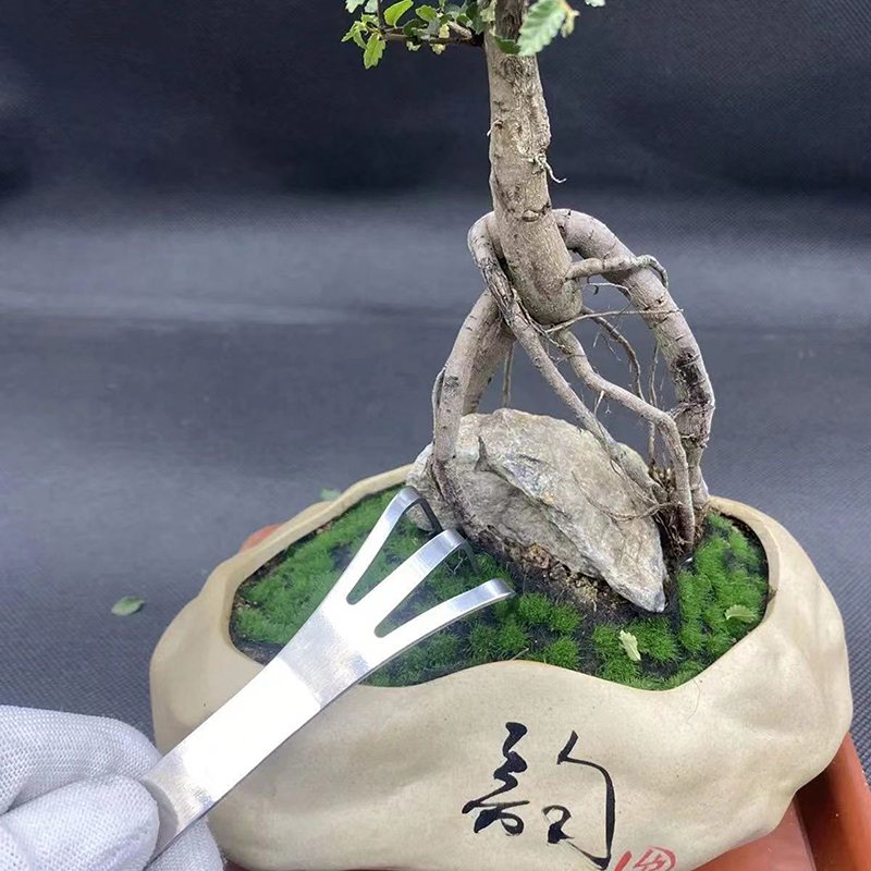 1Pc Stainless Steel Root Rake  - Bonsai Garden Tools avaliação e preço