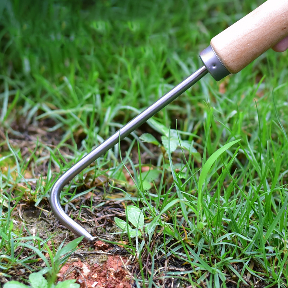 1PC Single Claw Hook Soil Loos - Bonsai Garden Tools avaliação e preço