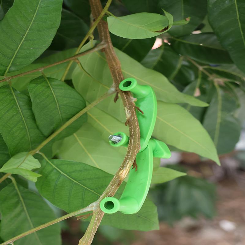 5pcs/set Tree Bending Tool Thi - Concave Branch Cutter avaliação e preço