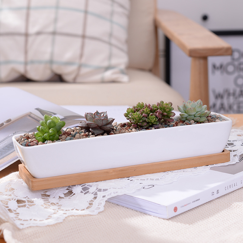 Long Rectangle White Ceramic S - Bonsai Tree Zen Garden avaliação e preço