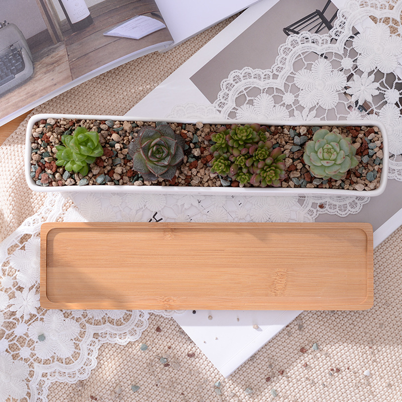 Long Rectangle White Ceramic S - Bonsai Tree Zen Garden avaliação e preço