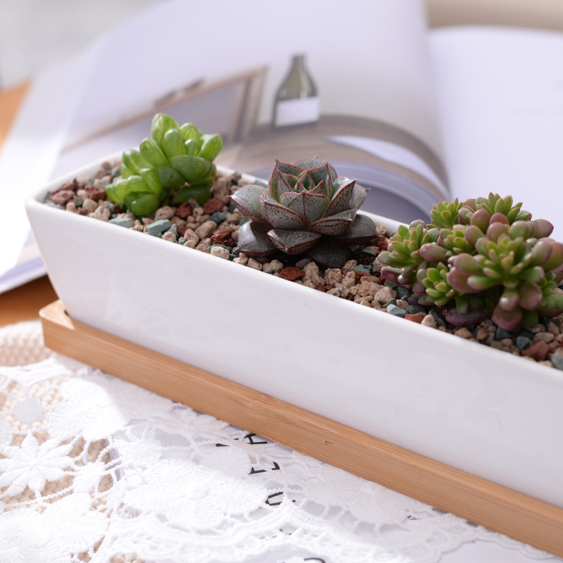 Long Rectangle White Ceramic S - Bonsai Tree Zen Garden avaliação e preço