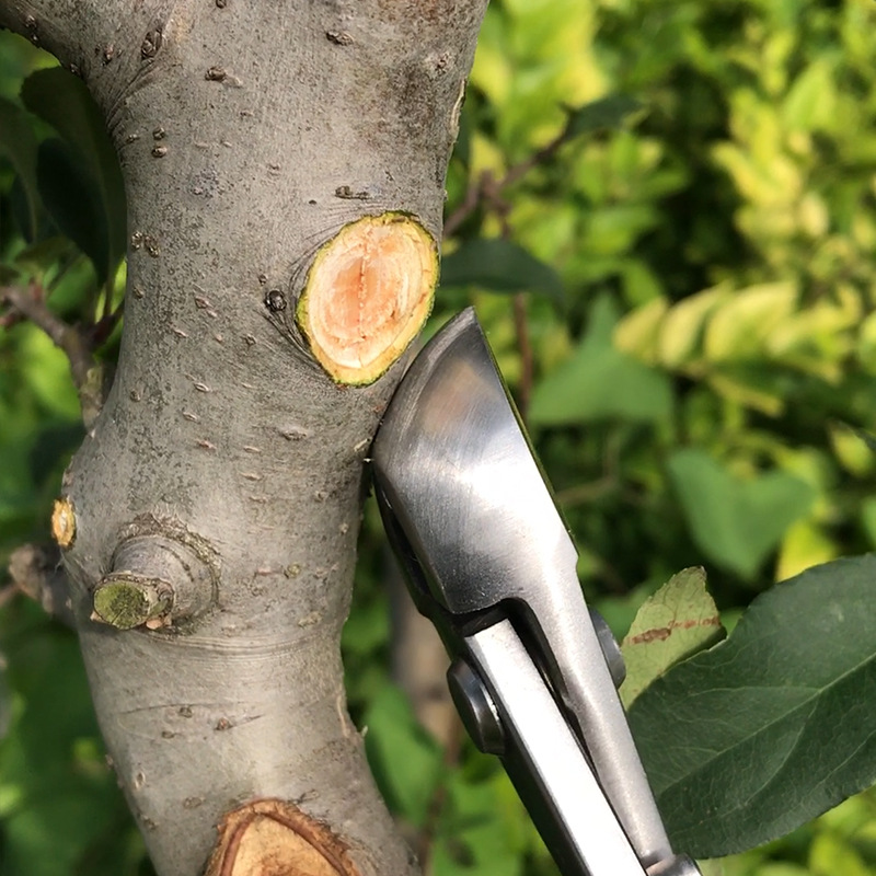 2 in 1 Bonsai Cutter Wear Resi - Concave Branch Cutter avaliação e preço