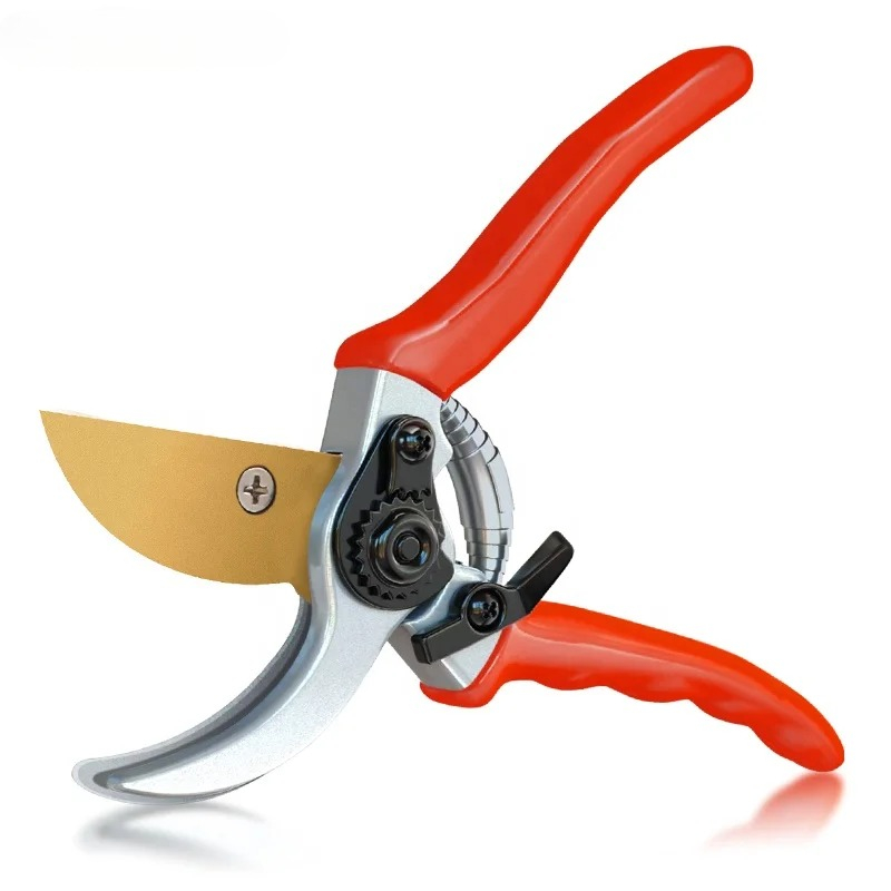 Hot Sale Pruning Fruit Shears  - Bonsai Garden For Sale avaliação e preço