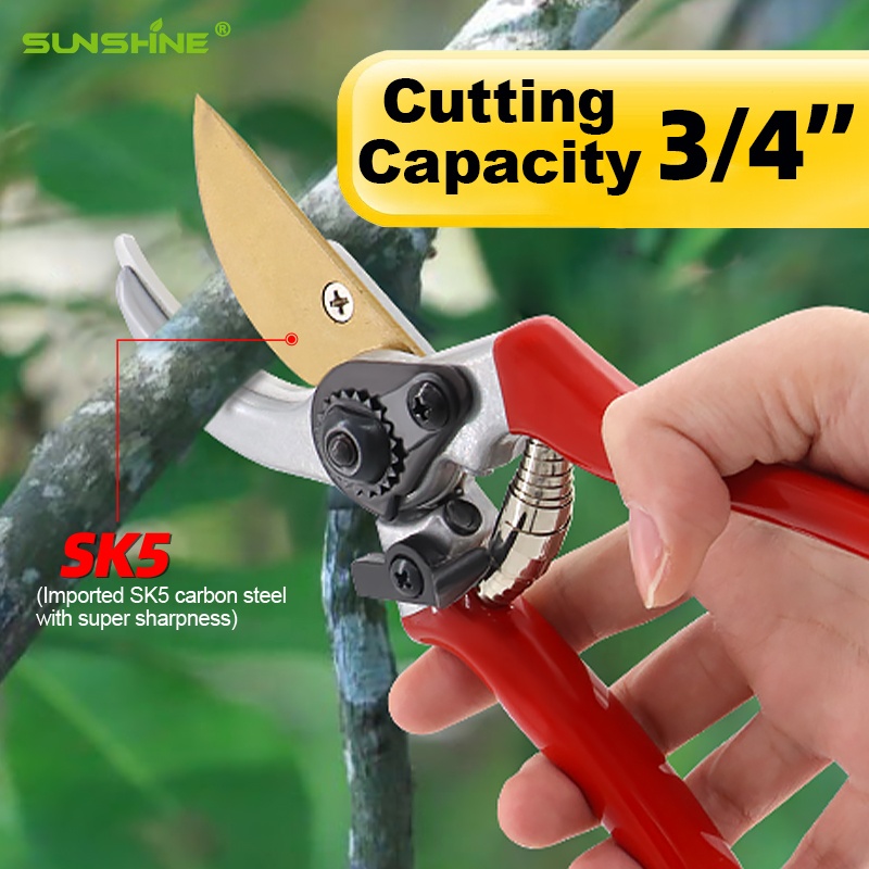 Hot Sale Pruning Fruit Shears  - Bonsai Garden For Sale avaliação e preço