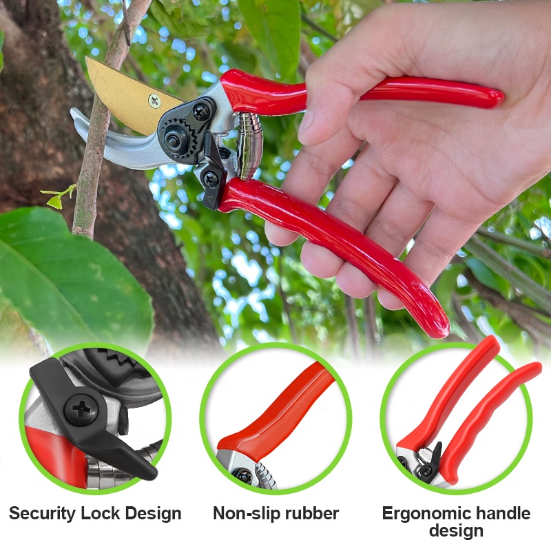 Hot Sale Pruning Fruit Shears  - Bonsai Garden For Sale avaliação e preço