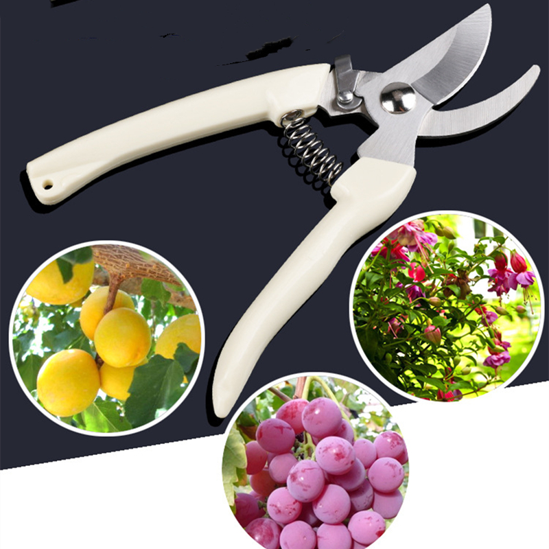 Pruner Orchard and The Garden  - Bonsai Garden Tools avaliação e preço