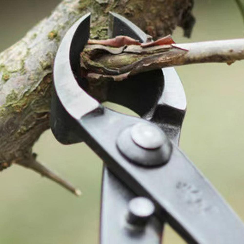 Bonsai Concave Branch Cutter M - Concave Branch Cutter avaliação e preço