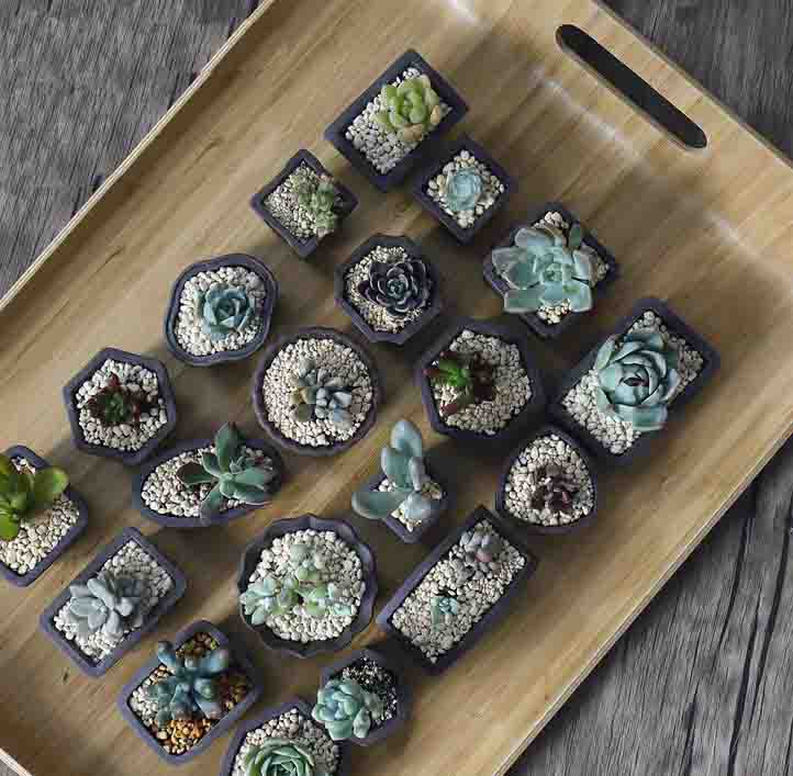 Yixing Purple Sand Flower Pot  - Bonsai Tree Zen Garden avaliação e preço