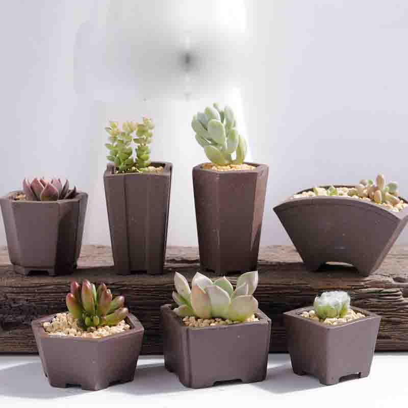 Yixing Purple Sand Flower Pot  - Bonsai Tree Zen Garden avaliação e preço