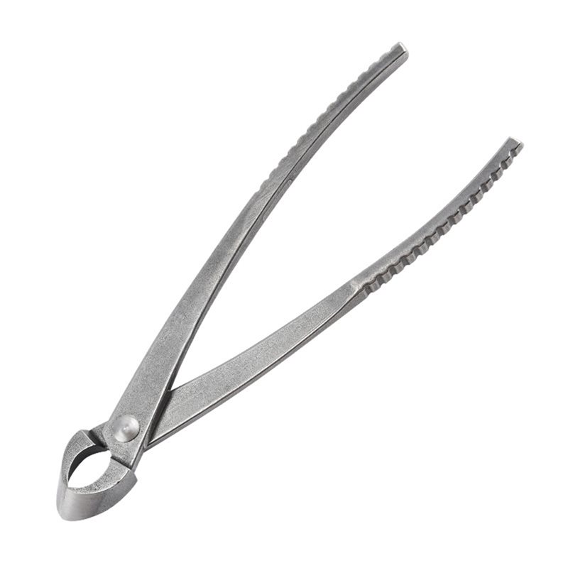 GYTB-Bonsai Concave Branch Cut - Concave Branch Cutter avaliação e preço