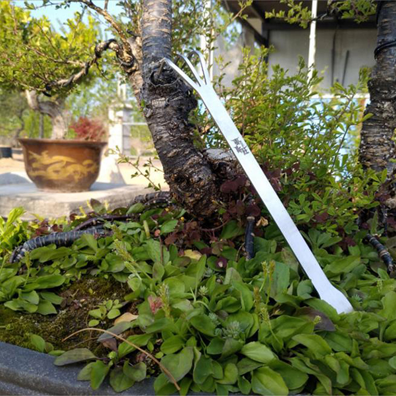 Hot Sale Stainless Steel Root  - Bonsai Garden For Sale avaliação e preço