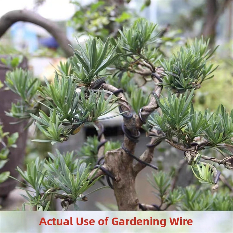 1.5MM Bonsai Wires Aluminum Bo - Bonsai Garden Tools avaliação e preço