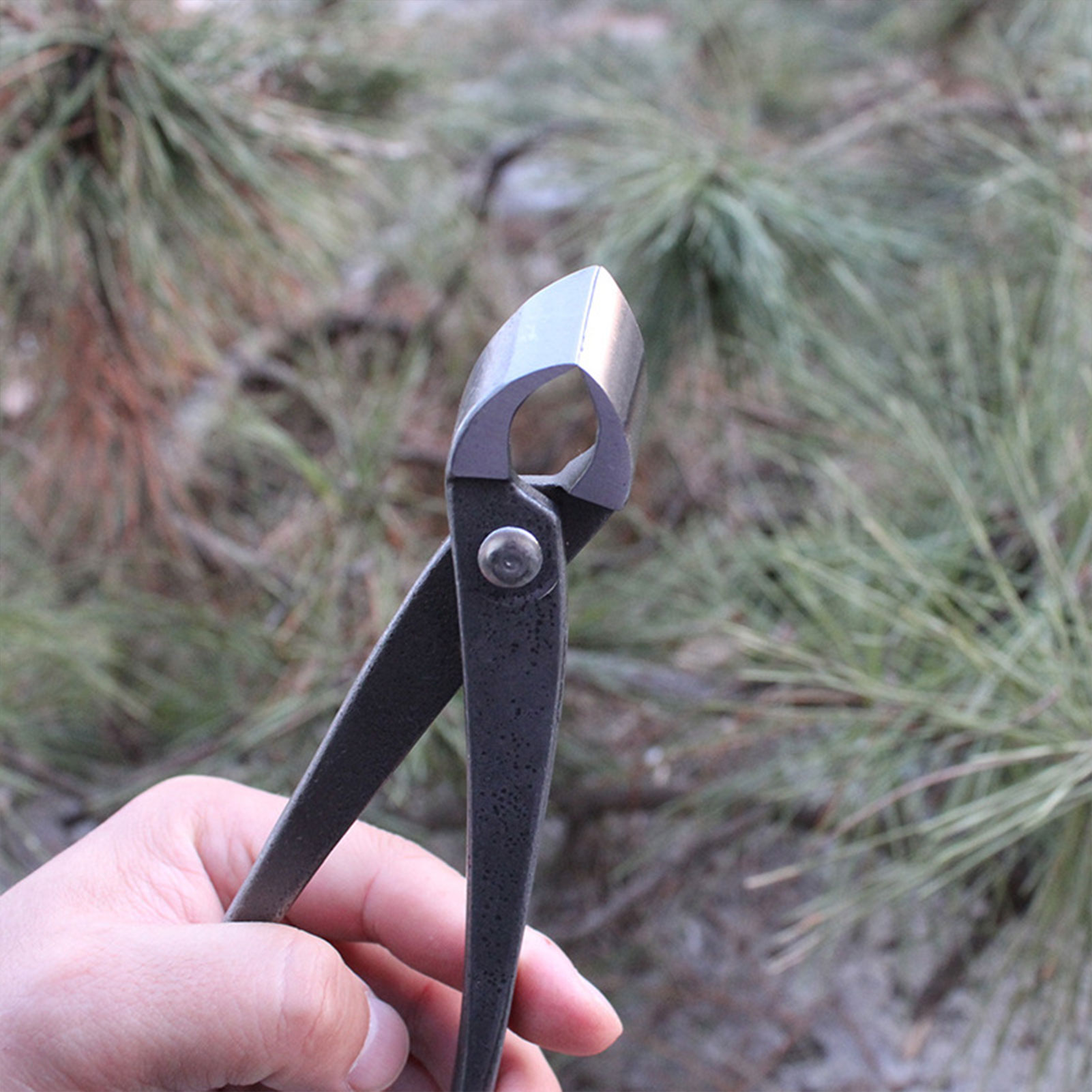 Garden Bonsai Knob Cutter Conc - Concave Branch Cutter avaliação e preço