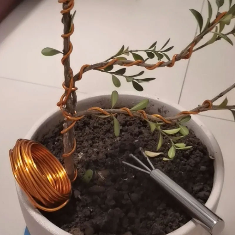 10/5M Plant Support Bonsai Wir - Concave Branch Cutter avaliação e preço