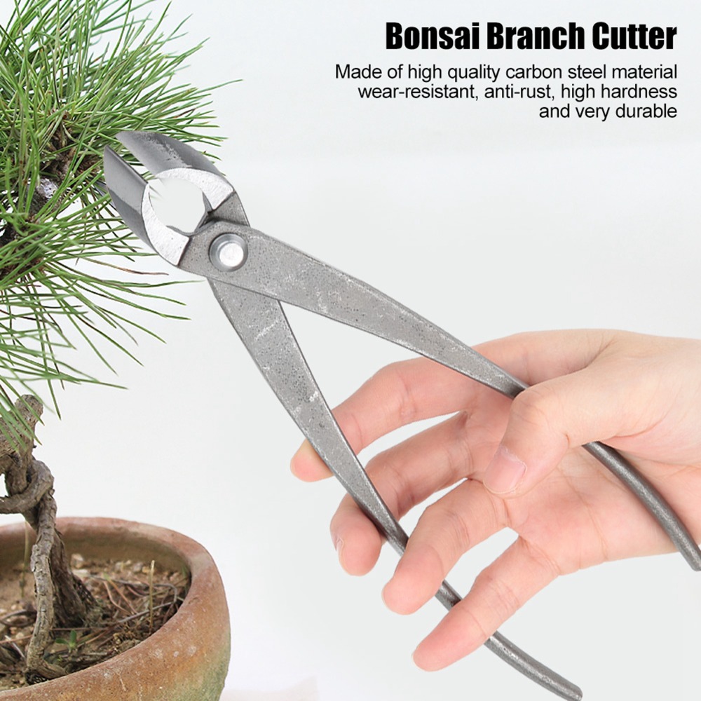 Stainless Steel Bonsai Branch  - Concave Branch Cutter avaliação e preço