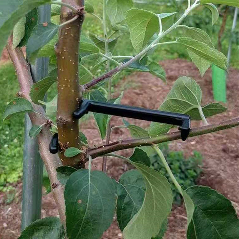 10-30Pcs Fruit Tree Clips Plan - Bonsai Garden Tools avaliação e preço