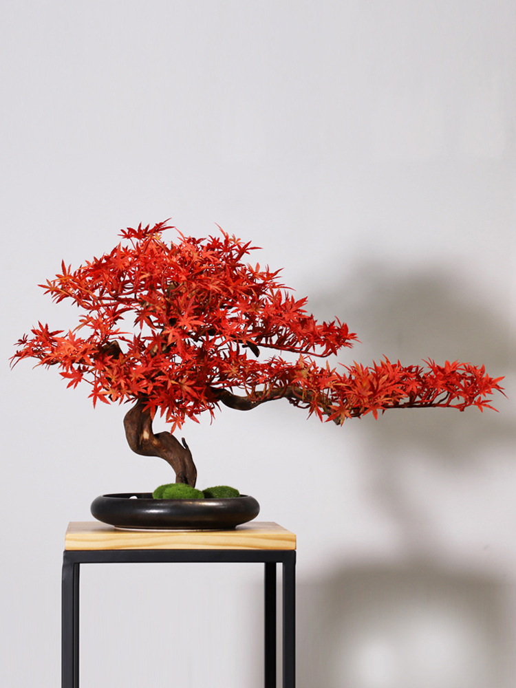 Simulation Welcome Pine Landsc - Bonsai Tree Zen Garden avaliação e preço