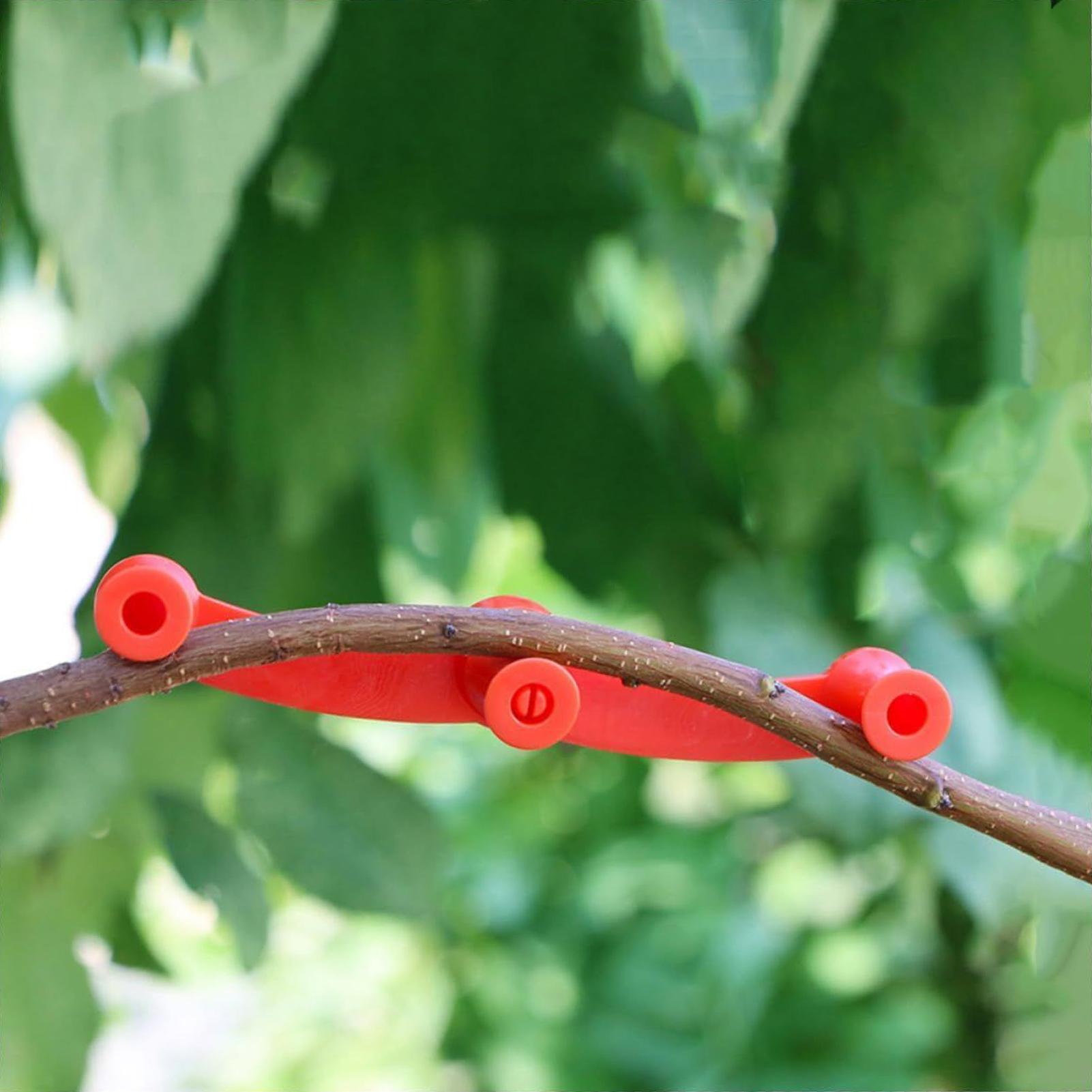 10pcs Plant Training Clips Tre - Bonsai Garden Tools avaliação e preço