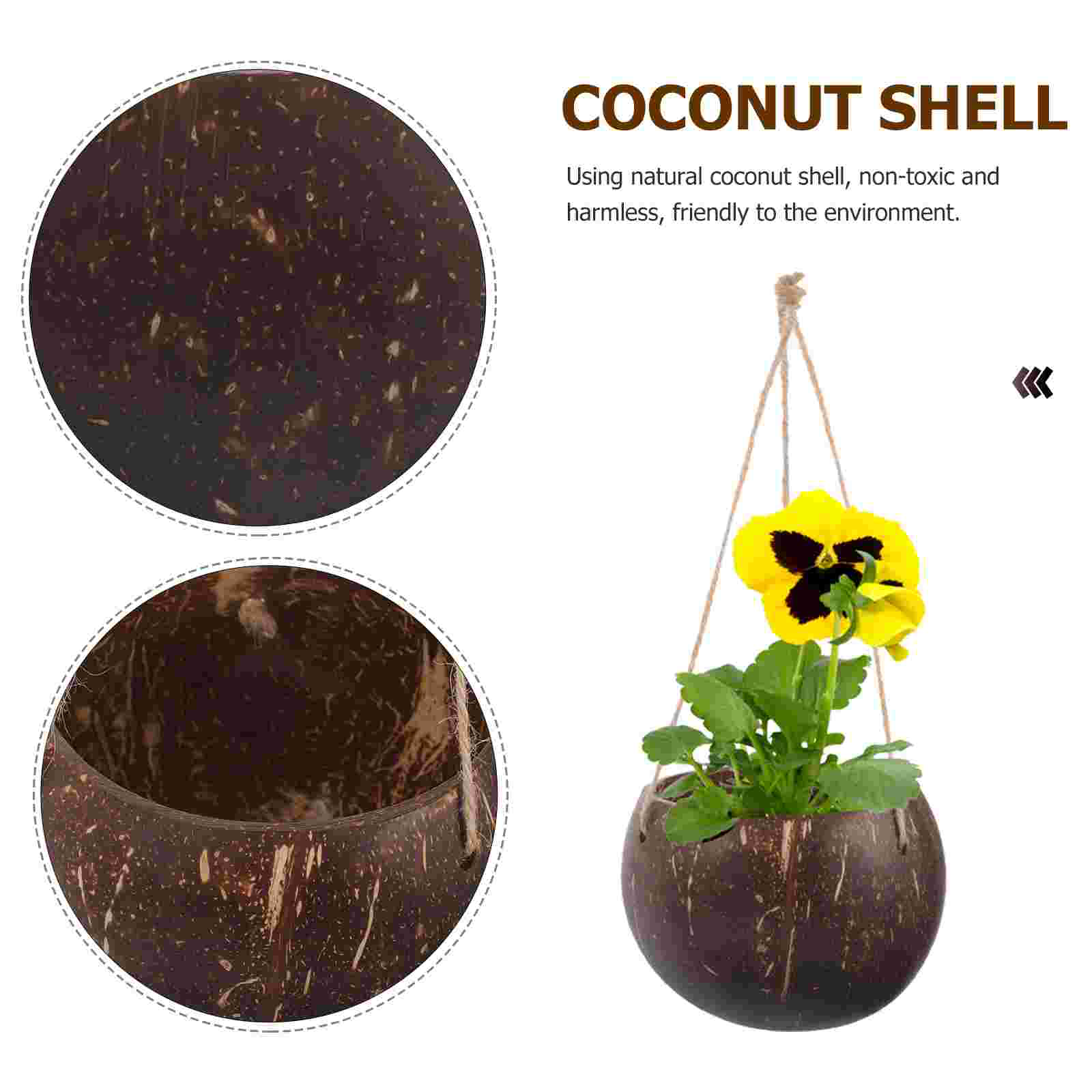 Large Hanging Planter Coconut  - Bonsai Tree Zen Garden avaliação e preço