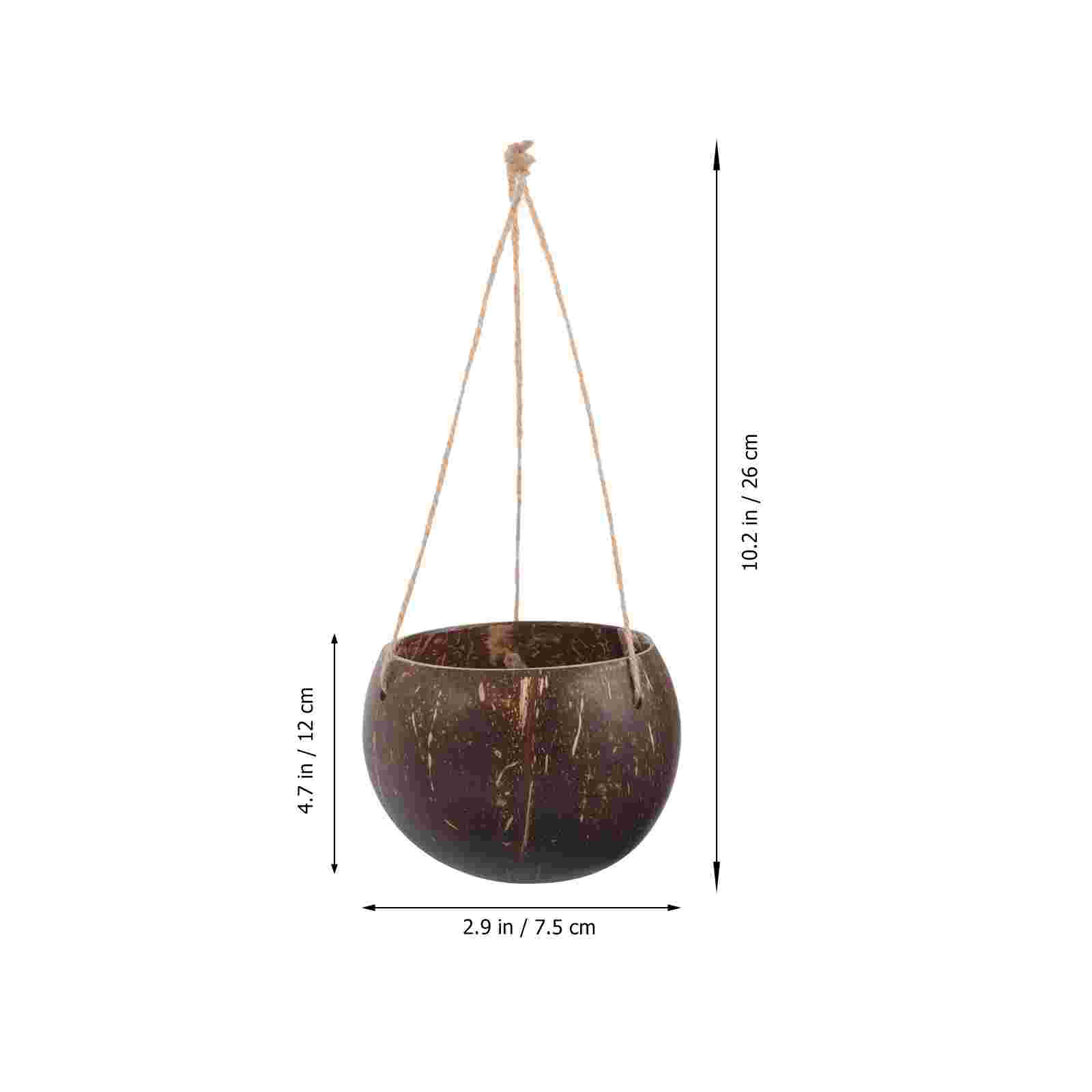 Large Hanging Planter Coconut  - Bonsai Tree Zen Garden avaliação e preço