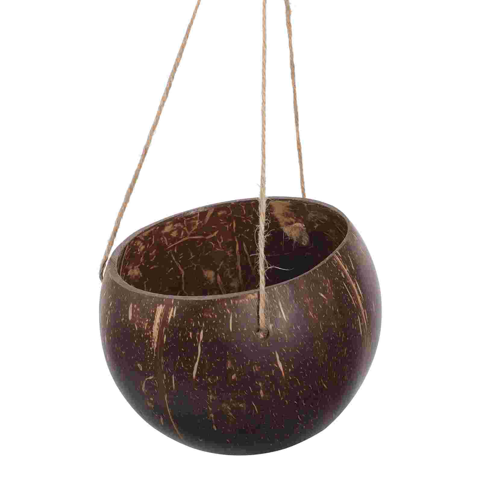 Large Hanging Planter Coconut  - Bonsai Tree Zen Garden avaliação e preço