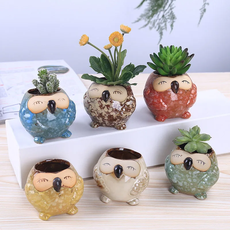 Mini Ceramic Owl Succulent Pla - Bonsai Garden Wall avaliação e preço