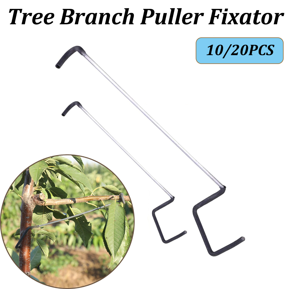 10/20PCS Fruit Tree Branch Lim - Concave Branch Cutter avaliação e preço