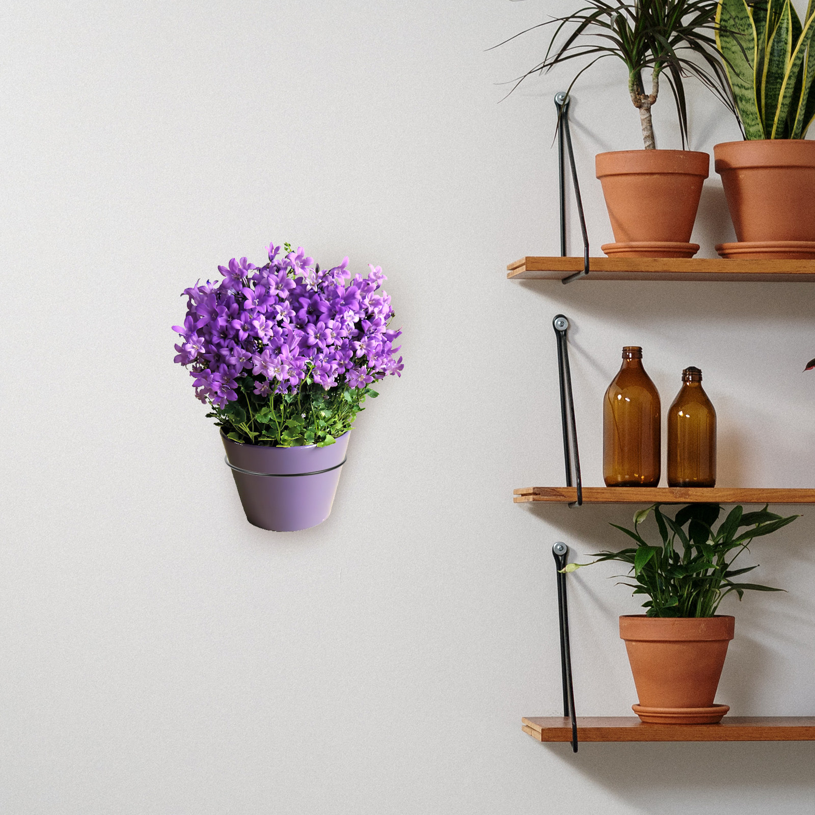 Iron Wall-Mounted Flowerpot Ra - Bonsai Garden Wall avaliação e preço