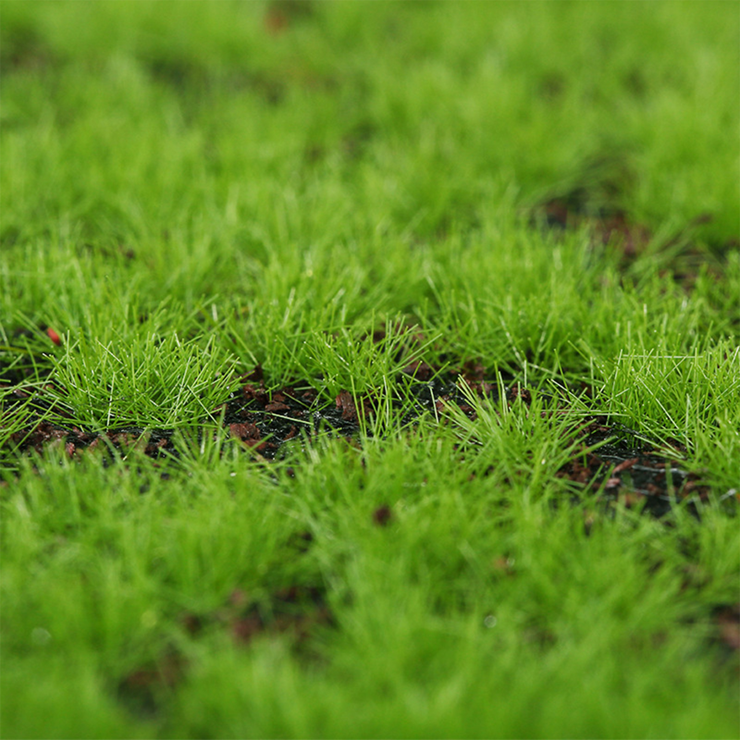 Artificial Moss Turf Simulatio - Bonsai Garden Wall avaliação e preço