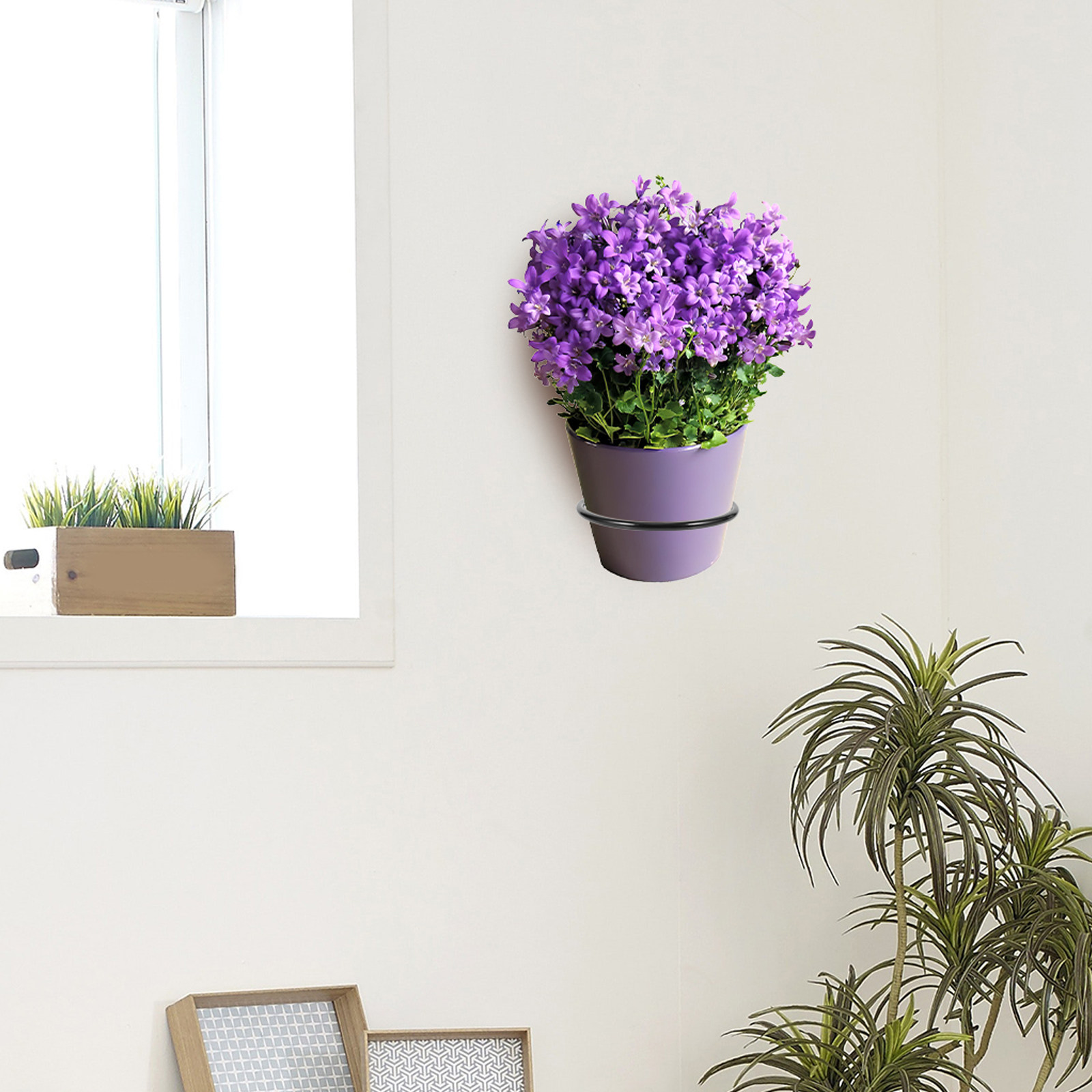 3Pcs Plant Pot Holder Wall Mou - Bonsai Garden Wall avaliação e preço