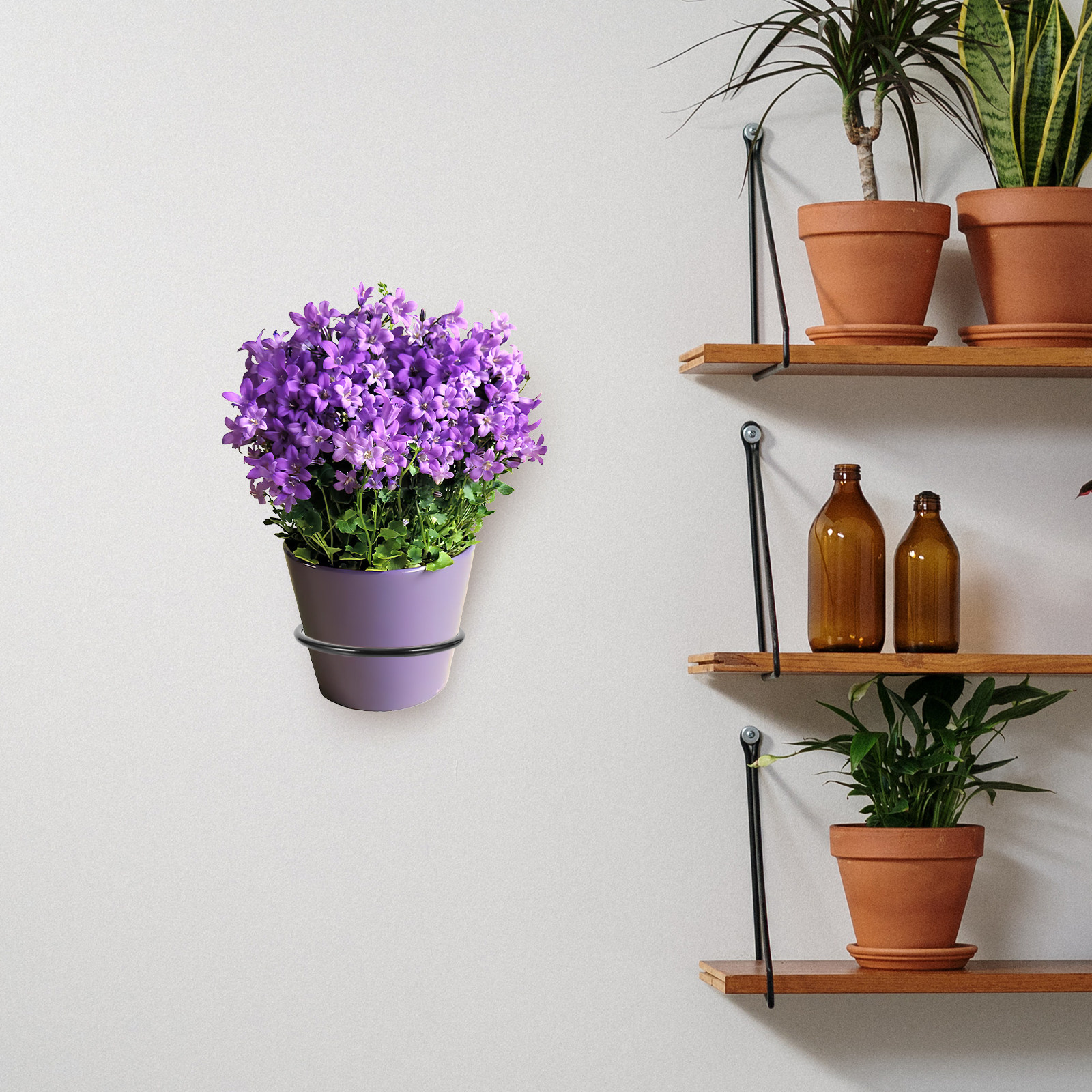 3Pcs Plant Pot Holder Wall Mou - Bonsai Garden Wall avaliação e preço